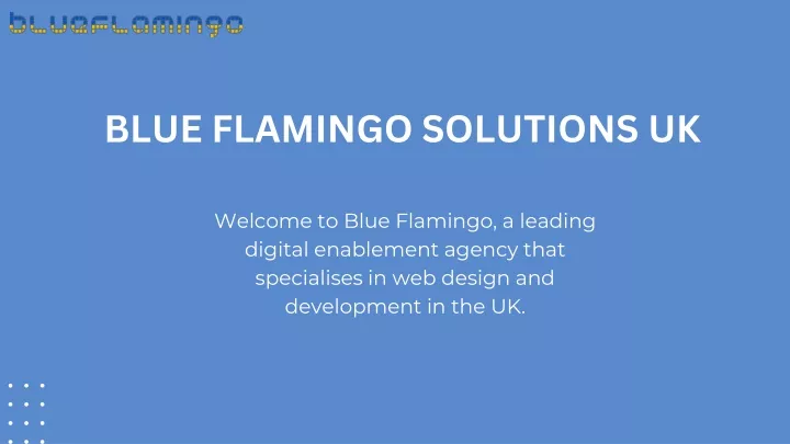 blue flamingo solutions uk