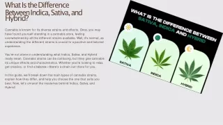 What Is the Difference Between Indica, Sativa, and Hybrid