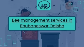 Bee management services in Bhubaneswar Odisha (5)