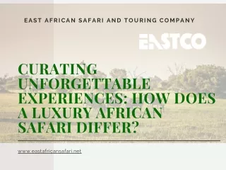 Curating Unforgettable Experiences How Does a Luxury African Safari Differ