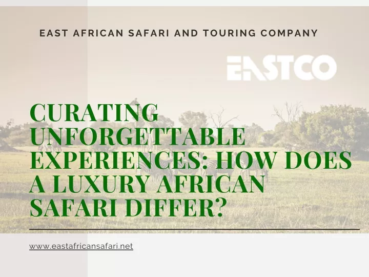 east african safari and touring company