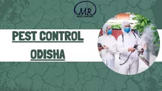 Pest control odisha (5)