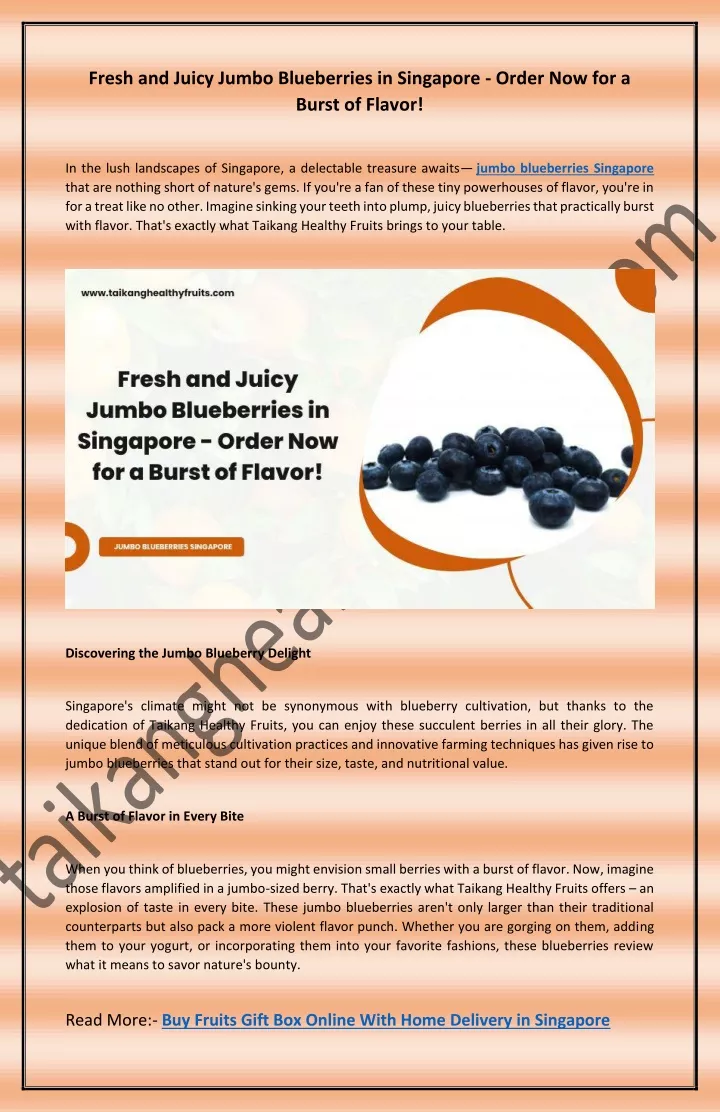 fresh and juicy jumbo blueberries in singapore