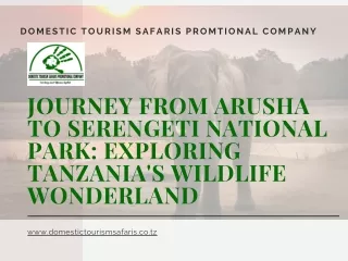 Journey from Arusha to Serengeti National Park Exploring Tanzania's Wildlife Wonderland