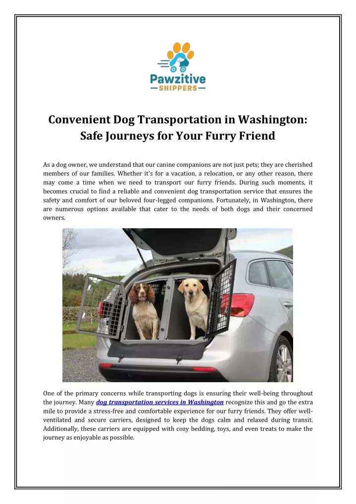 convenient dog transportation in washington safe