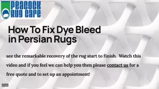 Area rug dye bleed repair - How to Fix Dye Bleed in Persian Rugs