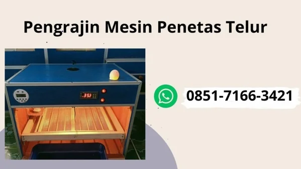 WA-0851-7166-3421, Alat Penetas Telur Banyuwangi Lasusua Kolaka Utara