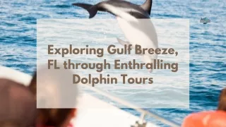 Exploring Gulf Breeze, FL through Enthralling Dolphin Tours