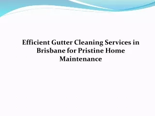 Efficient Gutter Cleaning Services in Brisbane for Pristine Home Maintenance