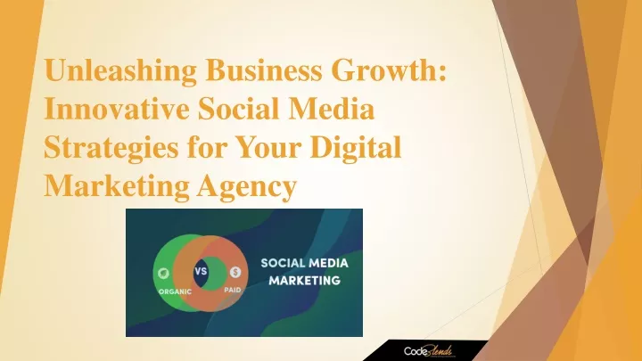 unleashing business growth innovative social media strategies for your digital marketing agency