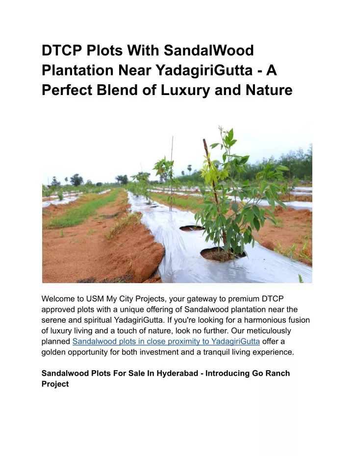 dtcp plots with sandalwood plantation near