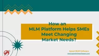 how an mlm platform helps smes meet changing market needs