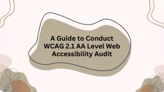A Guide to Conduct WCAG 2.1 AA Level Web Accessibility Audit