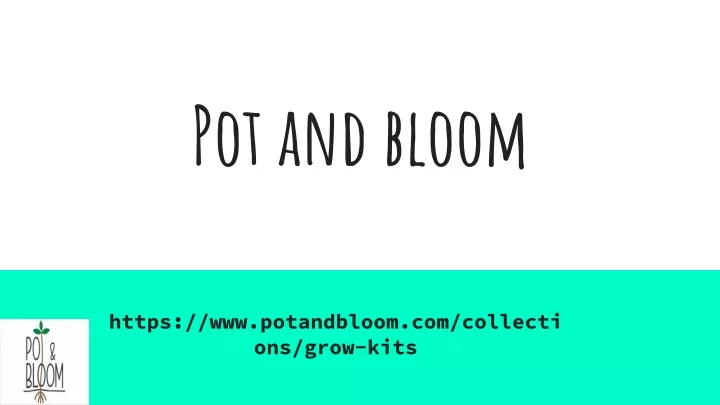 pot and bloom
