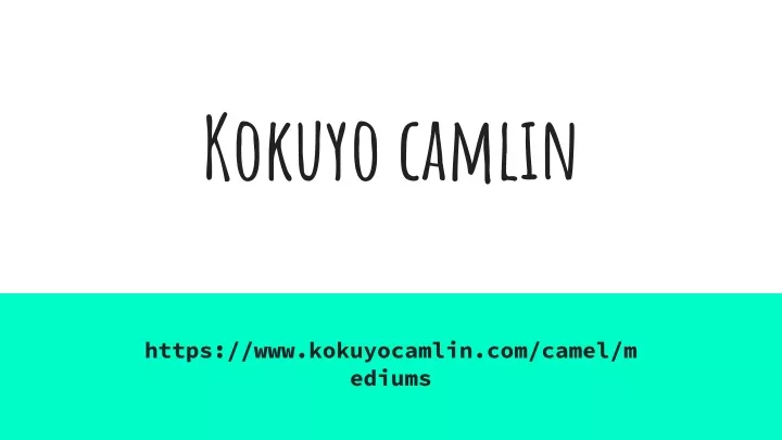 kokuyo camlin