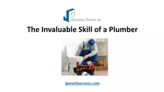 The Invaluable Skill of a Plumber