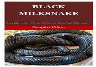 (PDF) BLACK MILKSNAKE: Every Information You Need To Know About Black Milk Snake