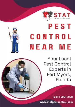 Pest Control Near Me