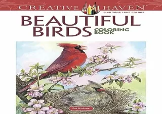 PDF Adult Coloring Beautiful Birds Coloring Book (Adult Coloring Books: Animals)