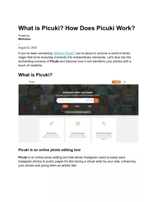 What is Picuki How Does Picuki Work