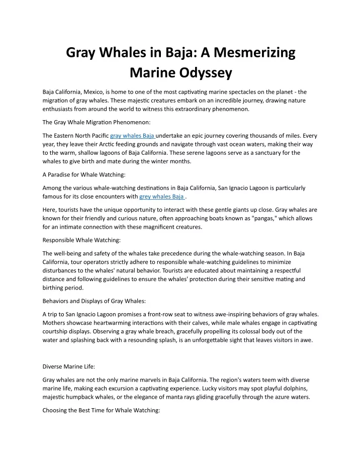 gray whales in baja a mesmerizing marine odyssey