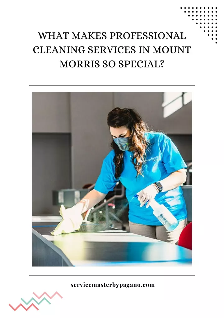 what makes professional cleaning services
