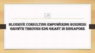 Bluehive Consulting Empowering Business Growth Through EDG Grant in Singapore