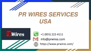 PR WIRE SERVICES USA PPT