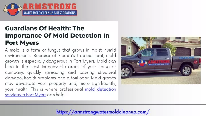 guardians of health the importance of mold