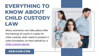 Everything to know about child custody Law