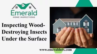 Inspecting Wood-Destroying Insects Under the Surface