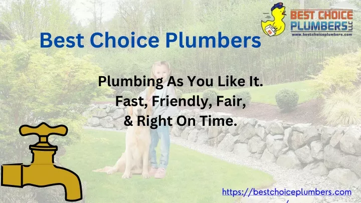 best choice plumbers