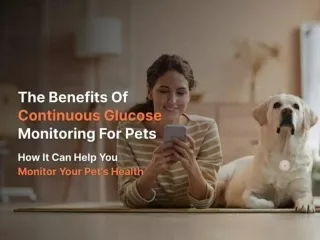 Benefits Of Continuous Glucose Monitoring For Pets