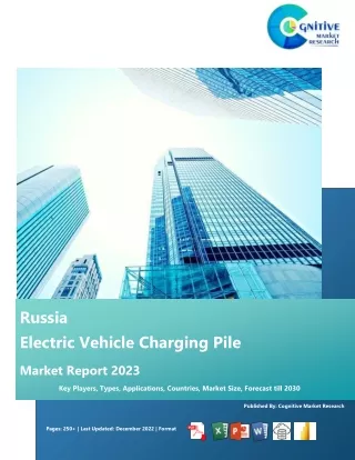 Russia Electric Vehicle Charging Pile Market Report 2023