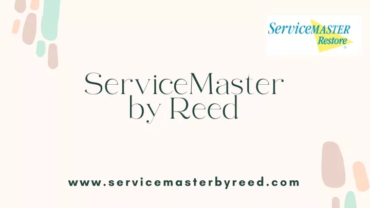 servicemaster by reed