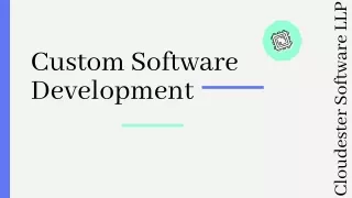 Business with Custom Software Development Services