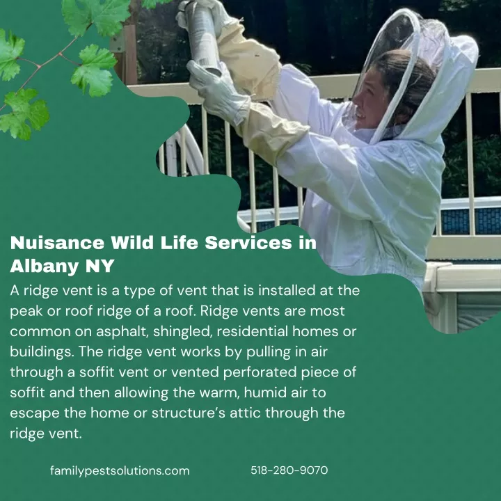 nuisance wild life services in albany ny a ridge