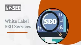 White Label SEO Services - In2SEO