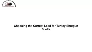 Choosing the Correct Load for Turkey Shotgun Shells