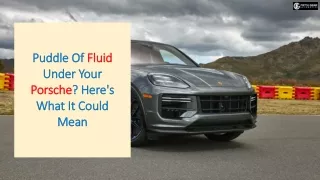 Puddle Of Fluid Under Your Porsche Here's What It Could Mean