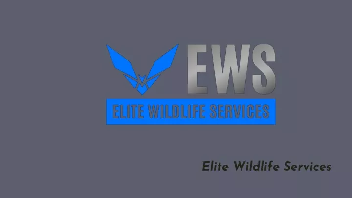 elite wildlife services