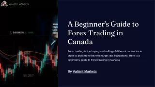 Beginner's Guide to Forex Trading in Canada