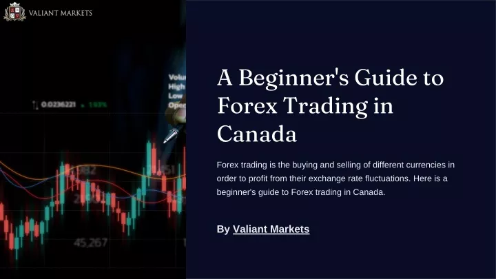 a beginner s guide to forex trading in canada