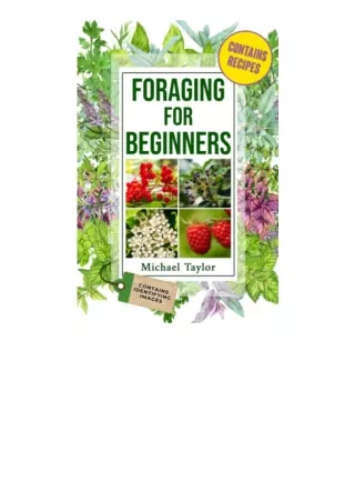 Kindle online PDF Foraging for Beginners An Easy Guide to Foraging Edible Wild Plants and Herbs to Identifying and Colle