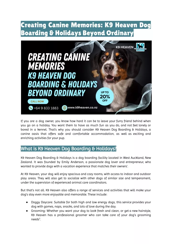 creating canine memories k9 heaven dog boarding