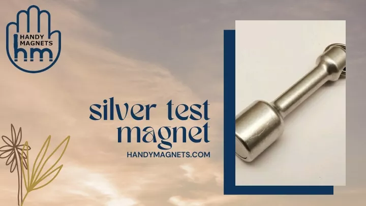 silver test magnet