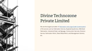 divine technozone private limited