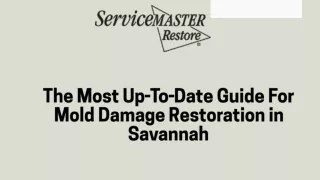 Expert Mold Damage Repair In Savannah | Comprehensive Restoration Services