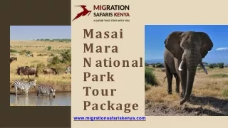 Masai Mara National Park Tour Package