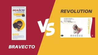Bravecto Vs Revolution for dogs